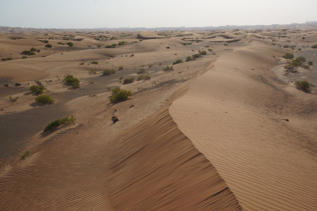 Вокруг Аравийского полуострова в марте 2019.